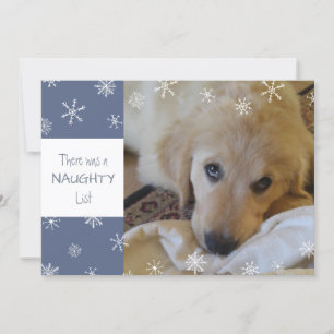 Cartes Pour Fêtes Annuelles Cute animal de compagnie Naughty ou Nice Snowflake