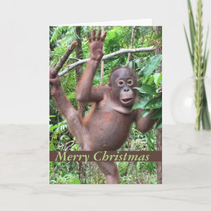 Cartes Pour Fêtes Annuelles Cute Animal Merry Christmas Orangutan Baby
