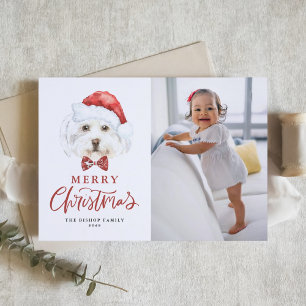 Cartes Pour Fêtes Annuelles Cute aquarelle Père Noël Maltese Chien Photo Noël