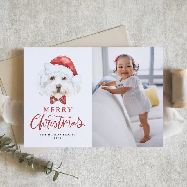 Cartes Pour Fêtes Annuelles Cute aquarelle Père Noël Maltese Chien Photo Noël (Créateur téléchargé)