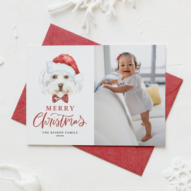 Cartes Pour Fêtes Annuelles Cute aquarelle Père Noël Maltese Chien Photo Noël (Créateur téléchargé)