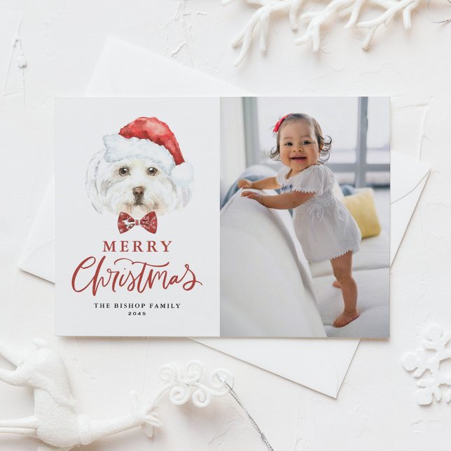 Cartes Pour Fêtes Annuelles Cute aquarelle Père Noël Maltese Chien Photo Noël (Créateur téléchargé)