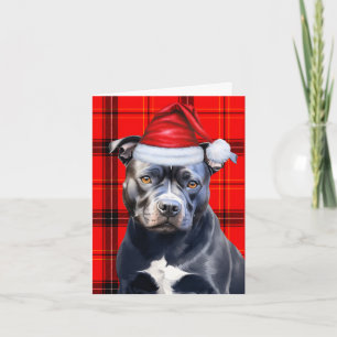 Cartes Pour Fêtes Annuelles Cute Bluenose Pitbull Père Noël Chien Rouge Plaid