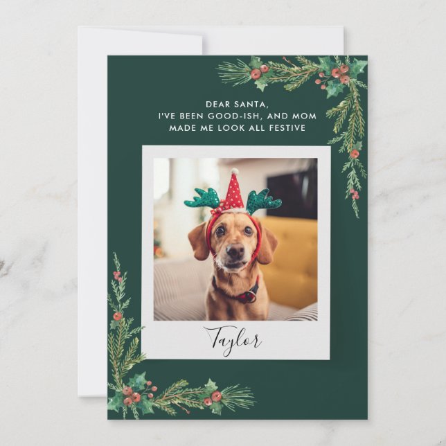 Cartes Pour Fêtes Annuelles Cute Chien Photo Custom Christmas (Devant)