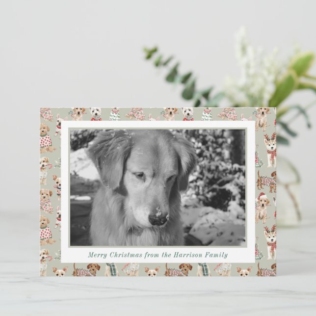 Cartes Pour Fêtes Annuelles Cute Christmas Dogs Photo (Debout devant)