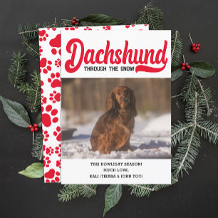 Cartes Pour Fêtes Annuelles Cute Dachshund Chien de Noël Photo personnalisée