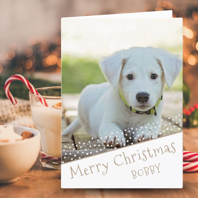 Cartes Pour Fêtes Annuelles Cute Dog Animaux de compagnie Photo Stations Joyeu (Créateur téléchargé)