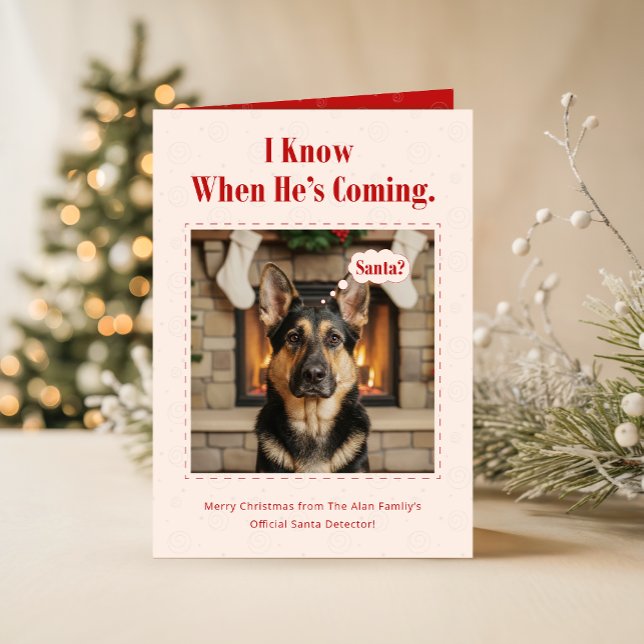 Cartes Pour Fêtes Annuelles Cute Dog Funny Pet Family Photo Christmas Folded (Créateur téléchargé)