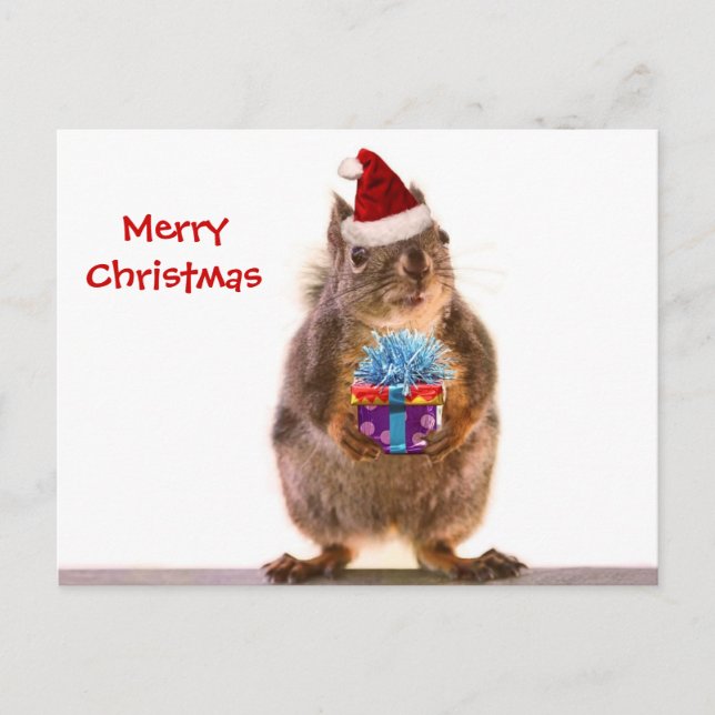 Cartes Pour Fêtes Annuelles Cute écureuil de Noël et cadeau (Devant)