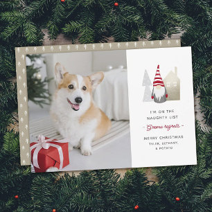 Cartes Pour Fêtes Annuelles Cute Gnome Regrets Photo de Noël pour animaux