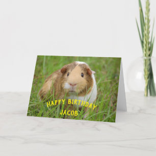 Cartes Pour Fêtes Annuelles Cute Guinea Pig Nom personnalisé Anniversaire Cade