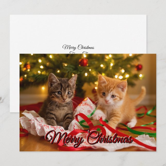 Cartes Pour Fêtes Annuelles Cute Kittens Under Christmas Tree (Devant / Derrière)