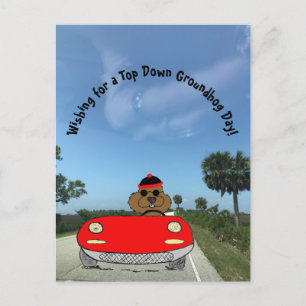 Cartes Pour Fêtes Annuelles Cute marmotte en rouge convertible
