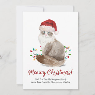Cartes Pour Fêtes Annuelles Cute Meowy Chat de Noël Santa Hat Personnalisé
