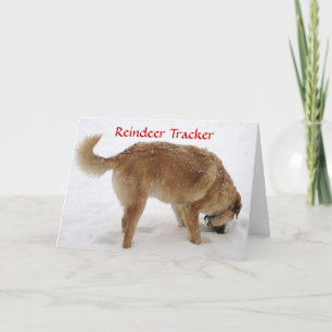 Cartes Pour Fêtes Annuelles Cute Père Noël & Reindeer Recherche & Secourir Chi