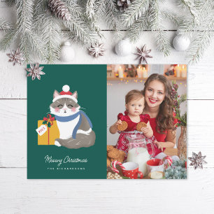 Cartes Pour Fêtes Annuelles Cute Ragdoll Photo Chat