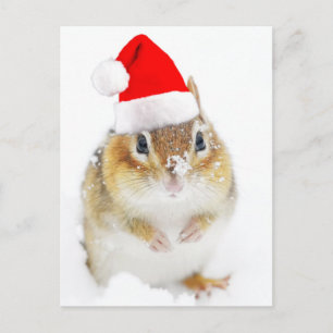 Cartes Pour Fêtes Annuelles Cute Snowy Père Noël Chipmunk