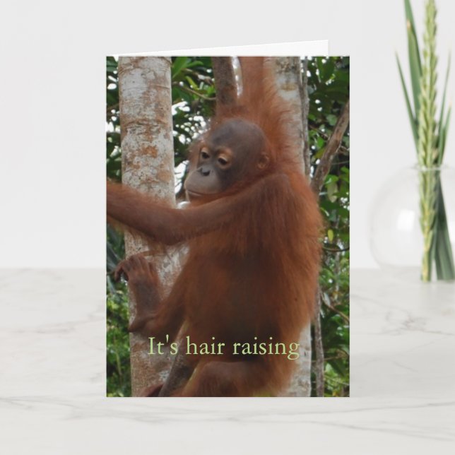 Cartes Pour Fêtes Annuelles Cute Valentine Hair Raising Faune Expérience (Devant)