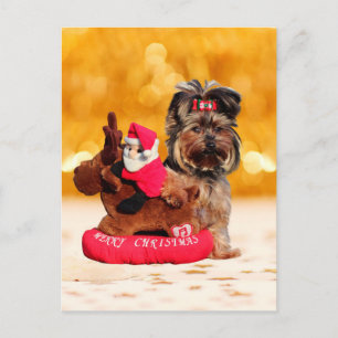 Cartes Pour Fêtes Annuelles Cute Yorkshire Terrier Joyeux Noël