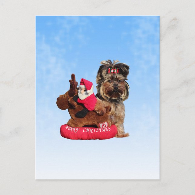 Cartes Pour Fêtes Annuelles Cute Yorkshire Terrier Joyeux Noël (Devant)
