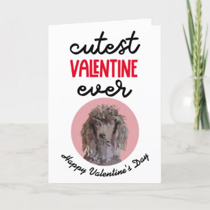 Cartes Pour Fêtes Annuelles Cutest Valentine Ever ..carte de votre Poodle