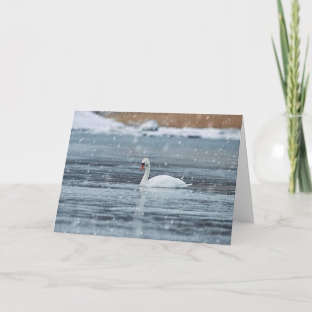 Cartes Pour Fêtes Annuelles Cygne nageant dans les conditions hivernales ennei (Devant)