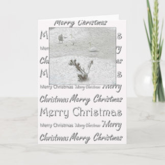 Cartes Pour Fêtes Annuelles Cygnes d'hiver