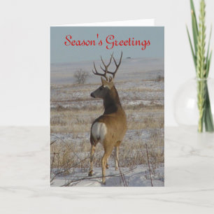 Cartes Pour Fêtes Annuelles D20 Mule Deer Buck dans la neige