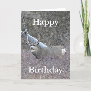 Cartes Pour Fêtes Annuelles D32 Mule Deer Buck