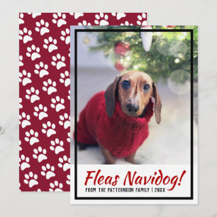 Cartes Pour Fêtes Annuelles Dachshund Chien Photo Empreinte de patte Christmas