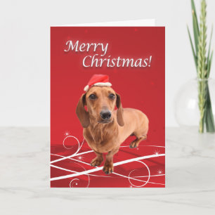 Cartes Pour Fêtes Annuelles Dachshund Christmas Card
