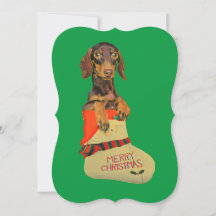 Dachshund dans une réserve de Noël