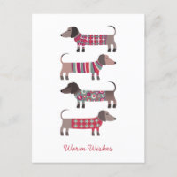 Dachshund Dog amusant