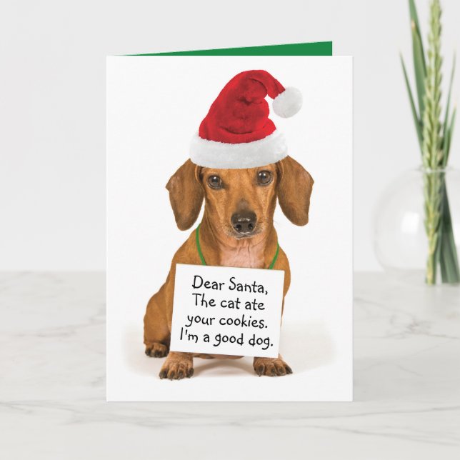 Cartes Pour Fêtes Annuelles Dachshund drôle avec signe à Père Noël Noël (Devant)