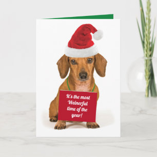 Cartes Pour Fêtes Annuelles Dachshund drôle C'est le temps le plus riche