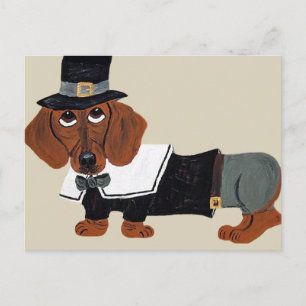 Cartes Pour Fêtes Annuelles Dachshund Pèlerin de Thanksgiving