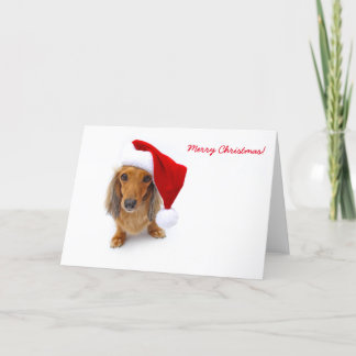 Cartes Pour Fêtes Annuelles dachshund père Noël