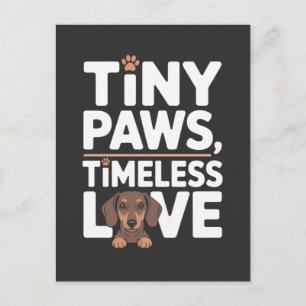 Cartes Pour Fêtes Annuelles Dachshund Petites Pattes, Amour Intemporel