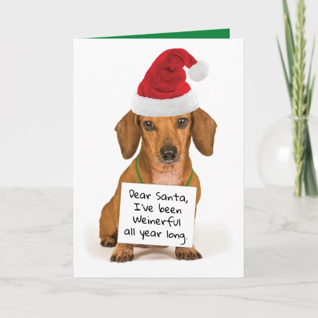 Cartes Pour Fêtes Annuelles Dachshund qui vous souhaite un Noël endiablé (Devant)