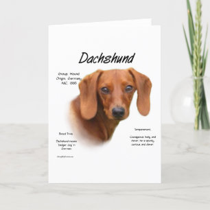 Cartes Pour Fêtes Annuelles Dachshund Smooth Rencontrez la race