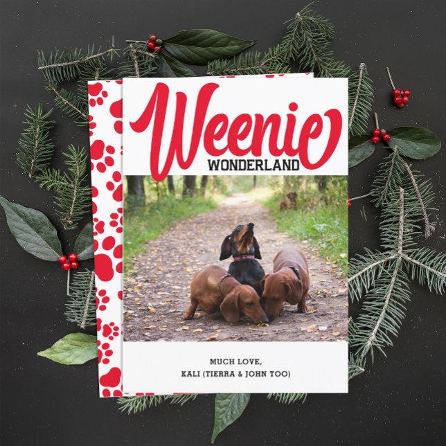 Cartes Pour Fêtes Annuelles Dachshund Weenie Chien de Noël Photo personnalisée (Créateur téléchargé)