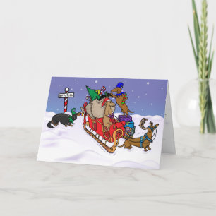 Cartes Pour Fêtes Annuelles Dachshunds au pôle Nord