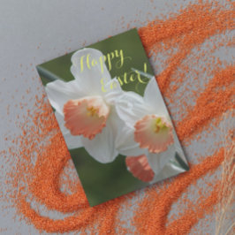 Cartes Pour Fêtes Annuelles Daffodiles orange et blanc Pâques florales