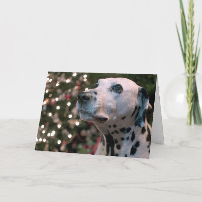 Cartes Pour Fêtes Annuelles Dalmate de Noël (Devant)