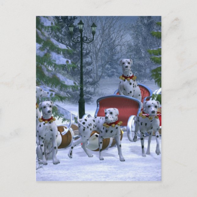 Cartes Pour Fêtes Annuelles Dalmatie de vacances (Devant)