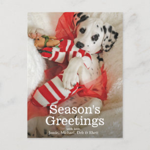 Cartes Pour Fêtes Annuelles Dalmatie puppy