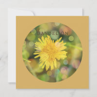 Dandelion avec Bokeh coloré sur Indian Yellow