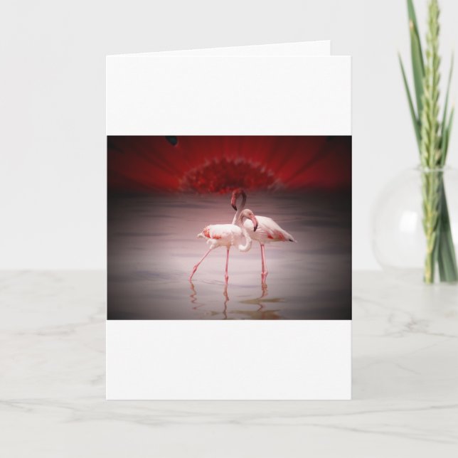 Cartes Pour Fêtes Annuelles Danse Flamant rose rose (Devant)