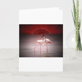 Cartes Pour Fêtes Annuelles Danse Flamant rose rose