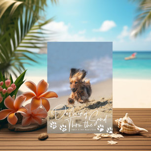 Cartes Pour Fêtes Annuelles Dashu Thru the Sand Beach Chien Paws Photo de vaca